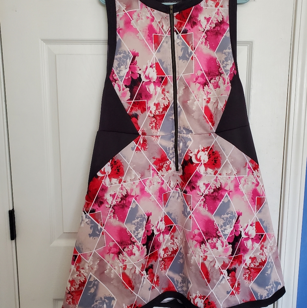 Forever 21 Skater Dress